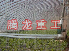 大棚花卉供暖設(shè)備、大棚卉采暖設(shè)備、大棚花卉取暖設(shè)備